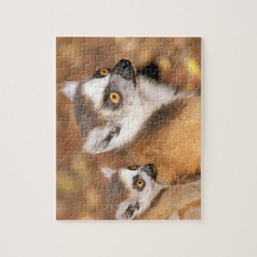 Afrika, Madagaskar, Berenty Private Reserve. Legpuzzel (Verticaal)