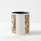 Afrika, Madagaskar, Berenty Private Reserve. Mok (Midden)