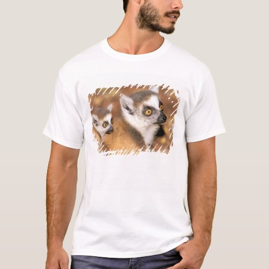 Afrika, Madagaskar, Berenty Private Reserve. T-shirt (Voorkant)