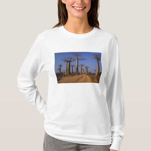 Afrika, Madagaskar, Morondava, Baobab Avenue. T-shirt (Voorkant)