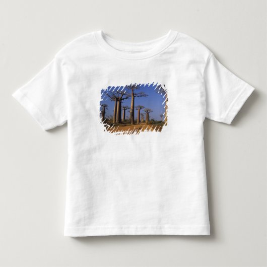Afrika, Madagaskar, Morondava, Baobablaan. Kinder Shirts (Voorkant)