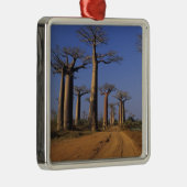 Afrika, Madagaskar, Morondava, Baobablaan. Metalen Ornament (Rechts)