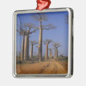 Afrika, Madagaskar, Morondava, Baobablaan. Metalen Ornament (Links)