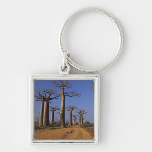 Afrika, Madagaskar, Morondava, Baobablaan. Sleutelhanger (Voorkant)