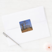 Afrika, Madagaskar, Morondava, Baobablaan. Vierkante Sticker (Envelop)