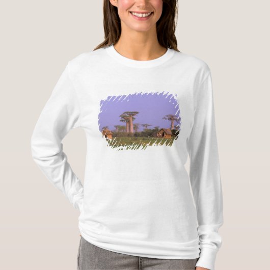 Afrika, Madagaskar, Morondava. Baobabs T-shirt (Voorkant)