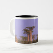Afrika, Madagaskar, Morondava. Baobabs Tweekleurige Koffiemok (Voorkant links)