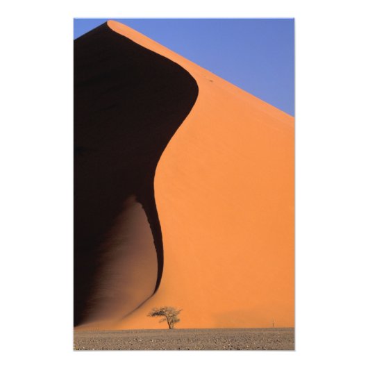 Afrika, Namibië, Avondlicht op duinen, Foto Afdruk (Voorkant)