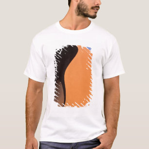 Afrika, Namibië, Avondlicht op duinen, T-shirt