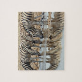 Afrika, Namibië, Etosha NP. Burchells Zebra Legpuzzel (Verticaal)