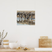 Afrika, Namibië, Etosha NP. Burchells Zebra Poster (Keuken)