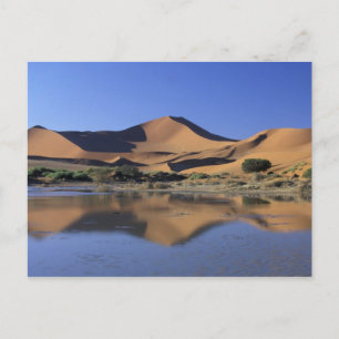 Afrika, Namibië, Namib Nationaal Park, Sossusvlei Briefkaart