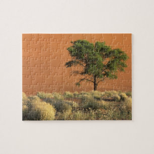 Afrika, Namibië, Namib Nationaal Park, Sossusvlei Legpuzzel
