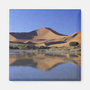 Afrika, Namibië, Namib Nationaal Park, Sossusvlei Magneet