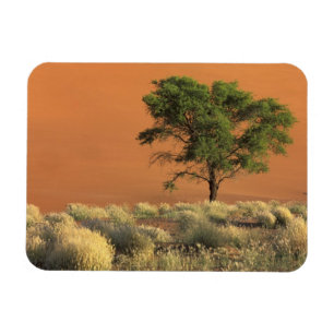 Afrika, Namibië, Namib Nationaal Park, Sossusvlei Magneet