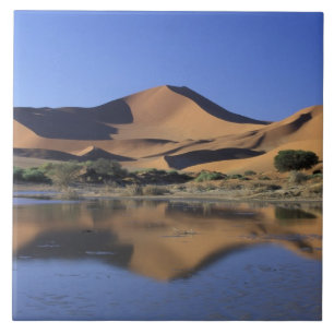 Afrika, Namibië, Namib Nationaal Park, Sossusvlei  Tegeltje