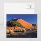 Afrika, Namibië, Namib-Naukluff Park, Sossosvlei Briefkaart (Voorkant / Achterkant)