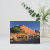 Afrika, Namibië, Namib-Naukluff Park, Sossosvlei Briefkaart (Staand voorkant)