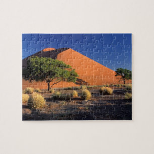 Afrika, Namibië, Namib-Naukluff Park, Sossosvlei Legpuzzel