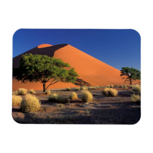 Afrika, Namibië, Namib-Naukluff Park, Sossosvlei Magneet