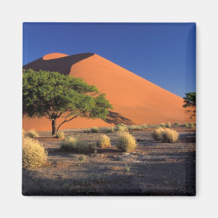 Afrika, Namibië, Namib-Naukluff Park, Sossosvlei Magneet