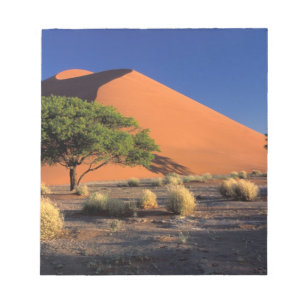 Afrika, Namibië, Namib-Naukluff Park, Sossosvlei Notitieblok