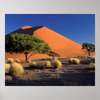 Afrika, Namibië, Namib-Naukluff Park, Sossosvlei
