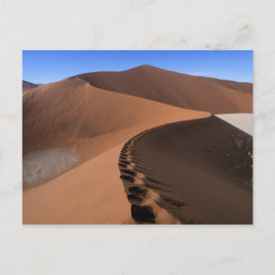 Afrika, Namibië, Namib Naukluft Nationaal Park, 2 Briefkaart