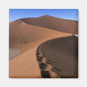Afrika, Namibië, Namib Naukluft Nationaal Park, 2 Magneet