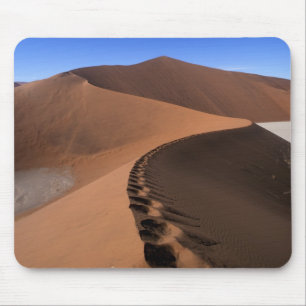 Afrika, Namibië, Namib Naukluft Nationaal Park, 2 Muismat