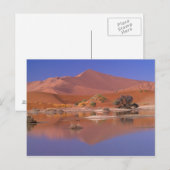 Afrika, Namibië. Namib-Naukluft Park. 2 Briefkaart (Voorkant / Achterkant)