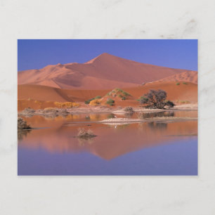 Afrika, Namibië. Namib-Naukluft Park. 2 Briefkaart