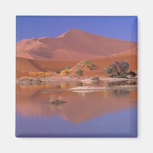 Afrika, Namibië. Namib-Naukluft Park. 2 Magneet