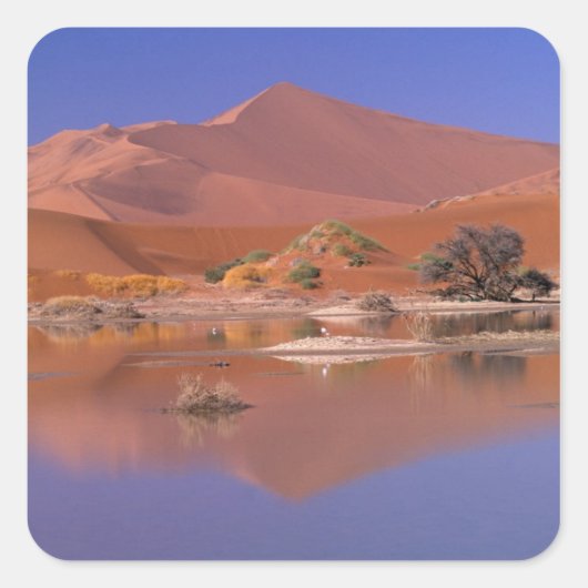 Afrika, Namibië. Namib-Naukluft Park. 2 Vierkante Sticker (Voorkant)