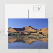 Afrika, Namibië, Nationaal Park Namib, Sossusvlei  Briefkaart (Voorkant / Achterkant)