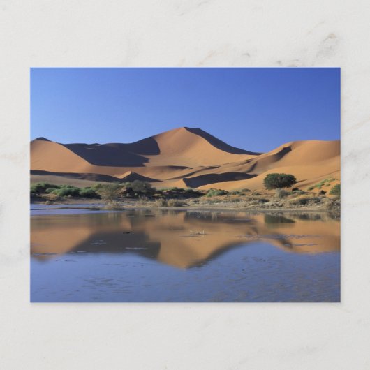 Afrika, Namibië, Nationaal Park Namib, Sossusvlei  Briefkaart (Voorkant)