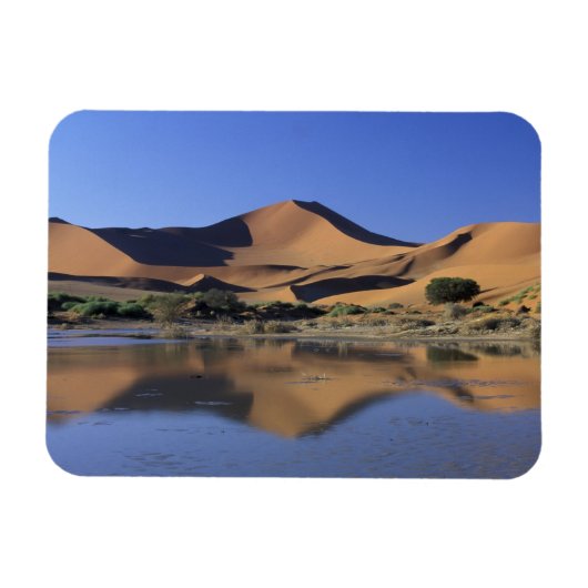 Afrika, Namibië, Nationaal Park Namib, Sossusvlei  Magneet (Horizontaal)