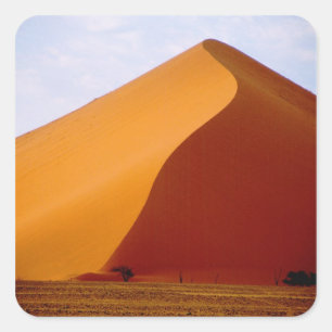 Afrika, Namibië, Naukluft Nationaal Park, 2 Vierkante Sticker