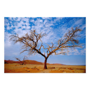 Afrika, Namibië, Naukluft Nationaal Park, Foto Afdruk