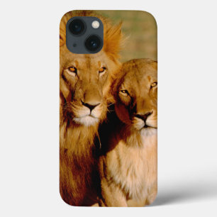 Afrika, Namibië, Okonjima. Leeuw & leeuwin Case-Mate iPhone Case