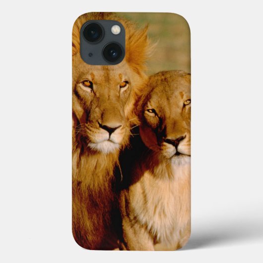 Afrika, Namibië, Okonjima. Leeuw & leeuwin Case-Mate iPhone Case (Achterkant)