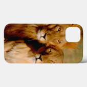 Afrika, Namibië, Okonjima. Leeuw & leeuwin Case-Mate iPhone Case (Achterkant (horizontaal))