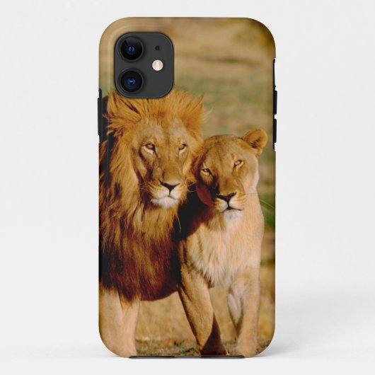 Afrika, Namibië, Okonjima. Leeuw & leeuwin Case-Mate iPhone Case (Achterkant)