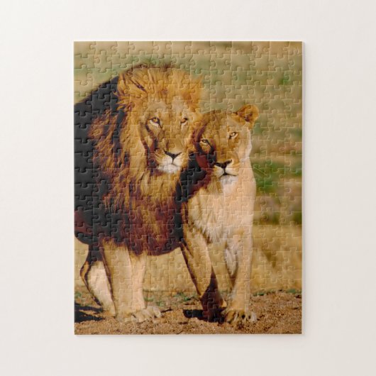 Afrika, Namibië, Okonjima. Leeuw & leeuwin Legpuzzel (Verticaal)
