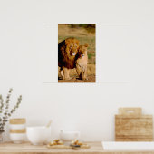 Afrika, Namibië, Okonjima. Leeuw & leeuwin Poster (Keuken)