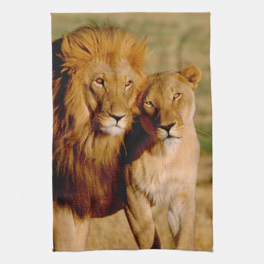 Afrika, Namibië, Okonjima. Leeuw & leeuwin Theedoek (Verticaal)