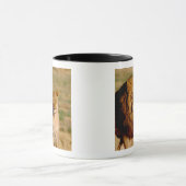 Afrika, Namibië, Okonjima. Leeuwen en leeuwen Mok (Midden)