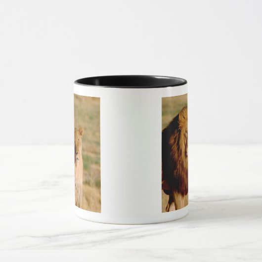 Afrika, Namibië, Okonjima. Leeuwen en leeuwen Mok (Midden)