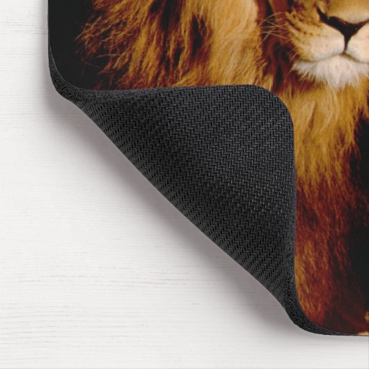 Afrika, Namibië, Okonjima. Leeuwen en leeuwen Muismat (Hoek)