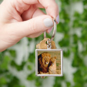 Afrika, Namibië, Okonjima. Leeuwen en leeuwen Sleutelhanger (Hand)